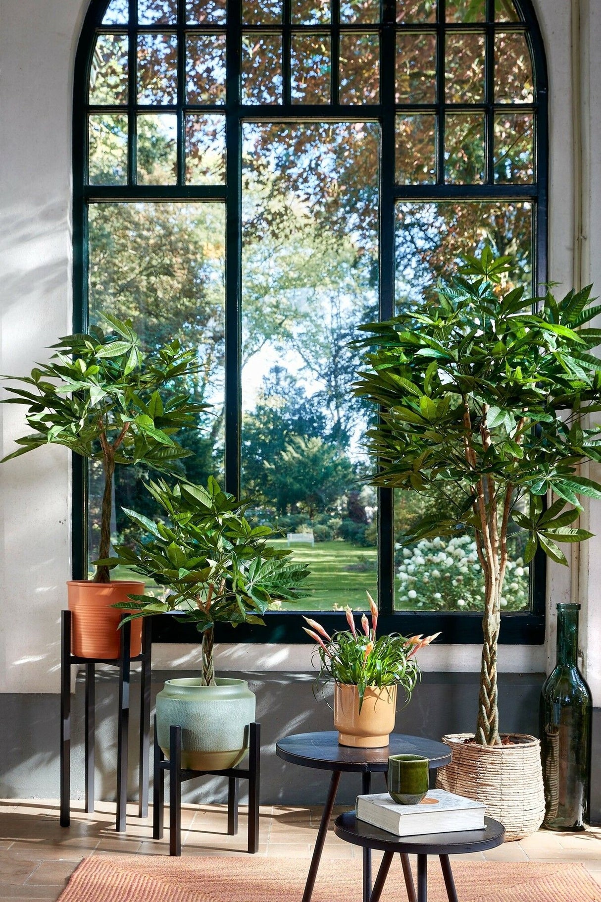 Pachira Kunstplant (H60 x Ø60 cm) Green Collection – MICA DECORATIONS