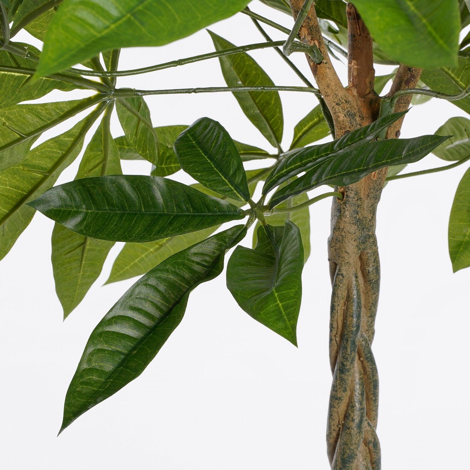 Pachira Kunstplant (H80 x Ø60 cm) Green Collection – MICA DECORATIONS