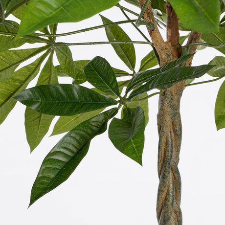 Pachira Kunstplant (H80 x Ø60 cm) Green Collection – MICA DECORATIONS