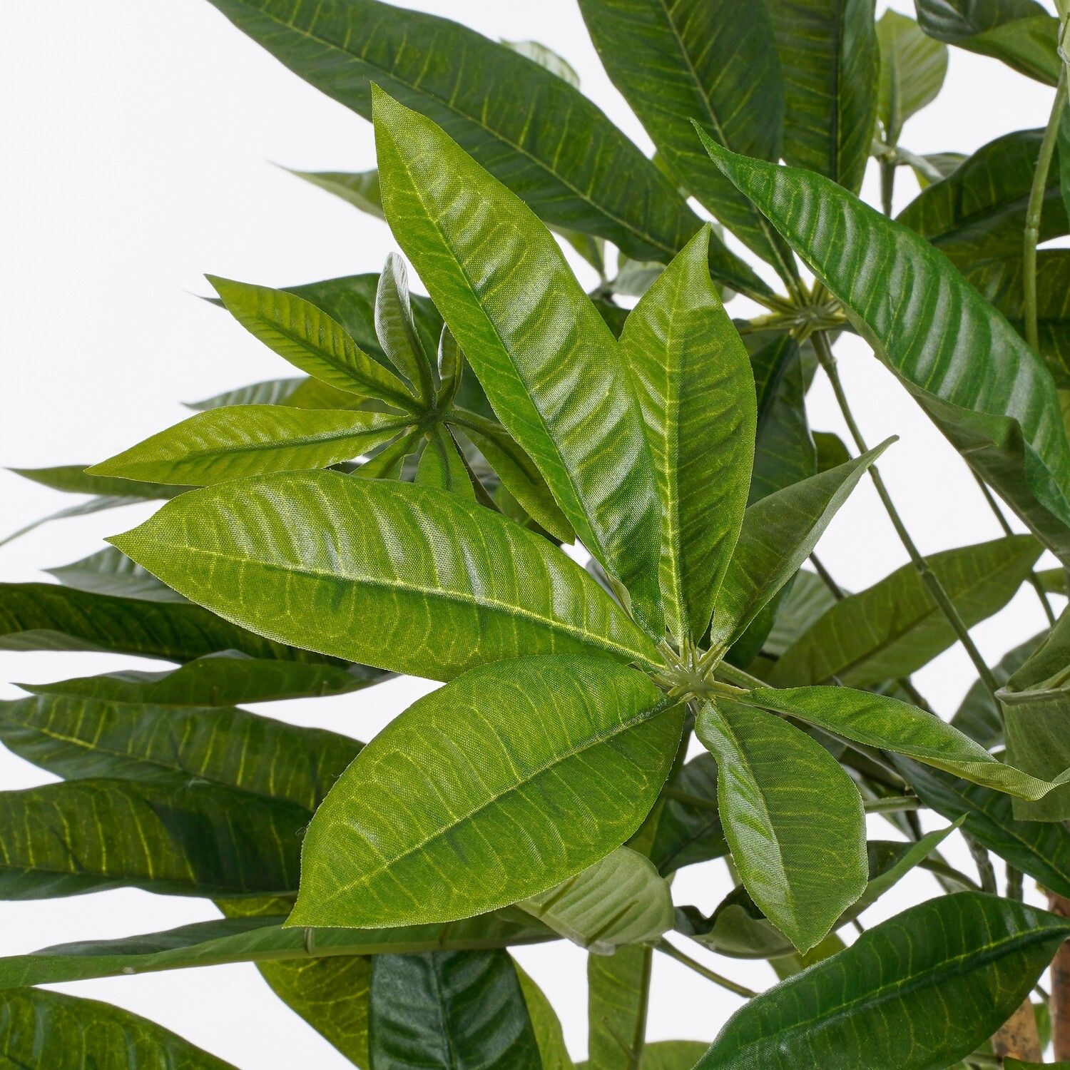Pachira Kunstplant (H80 x Ø60 cm) Green Collection – MICA DECORATIONS