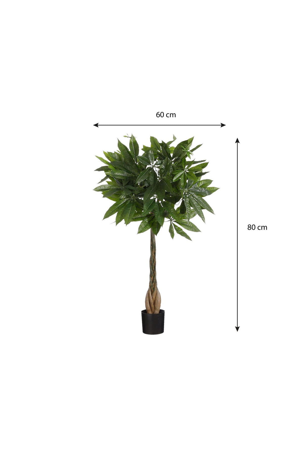 Pachira Kunstplant (H80 x Ø60 cm) Green Collection – MICA DECORATIONS