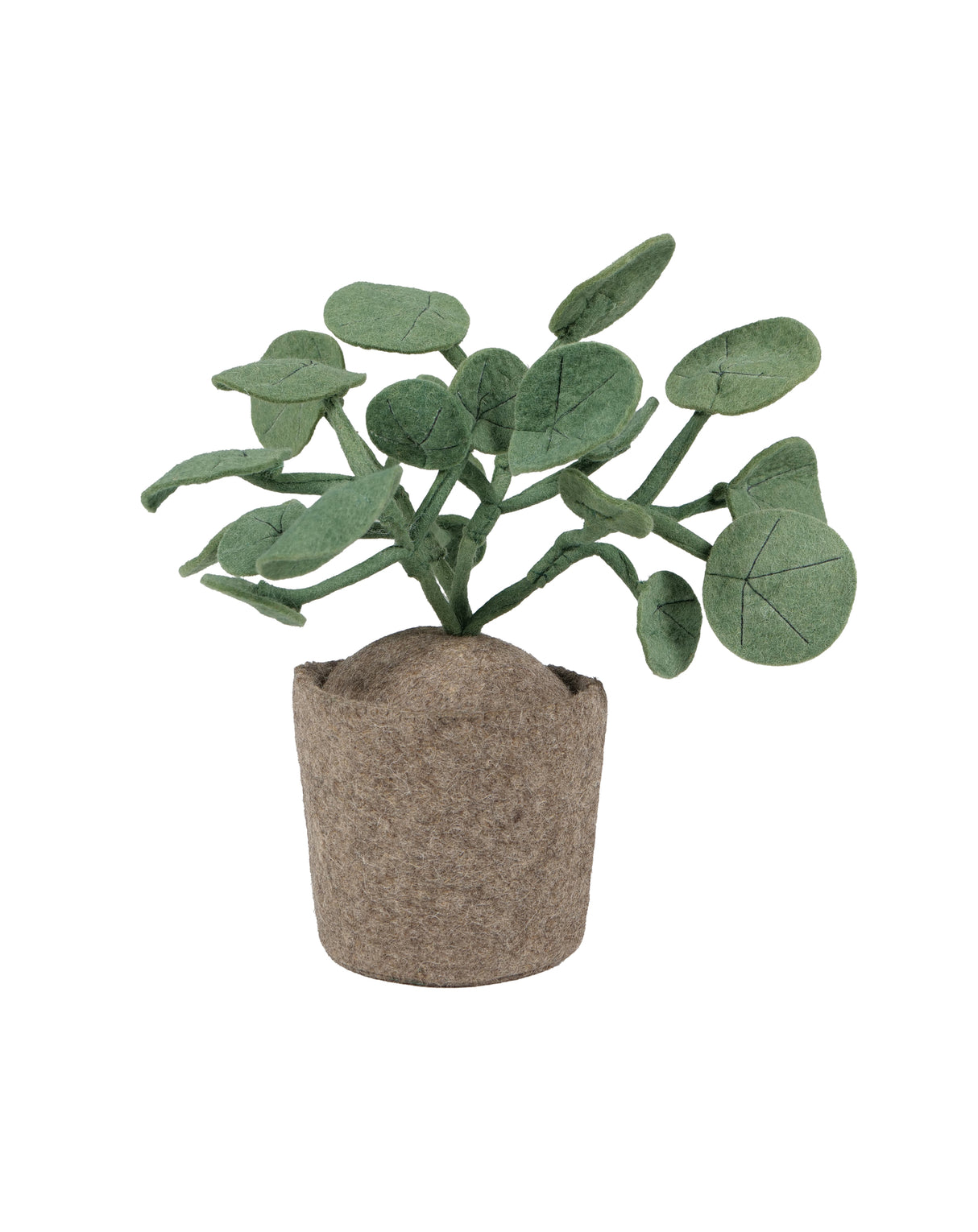 Plant – Pileo Pepero Groen / KidsDepot