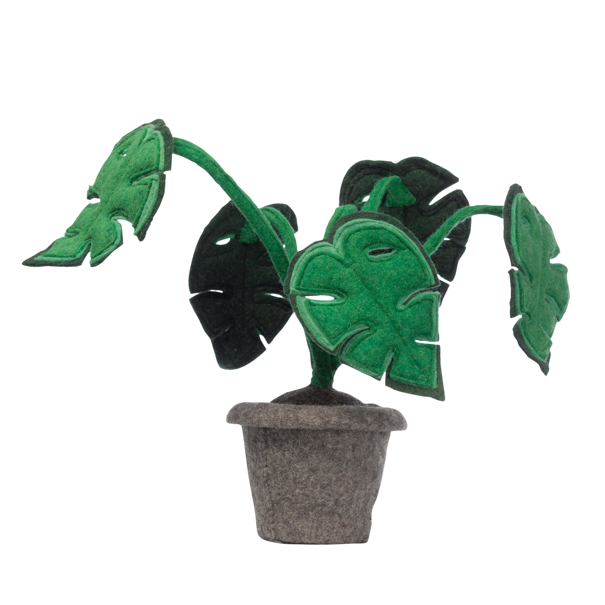 Plant – Monstera / KidsDepot