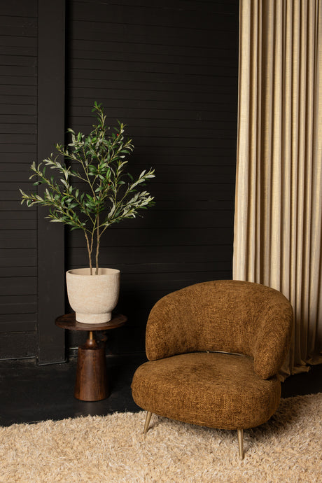 Olijfboom (S) / PTMD