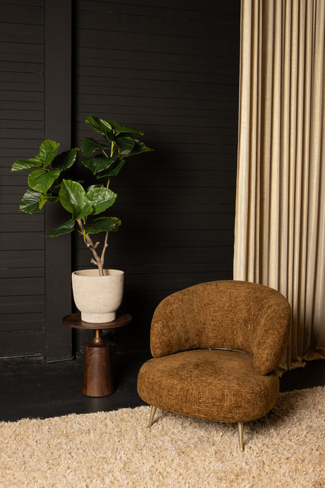 Ficus Boom (L) / PTMD