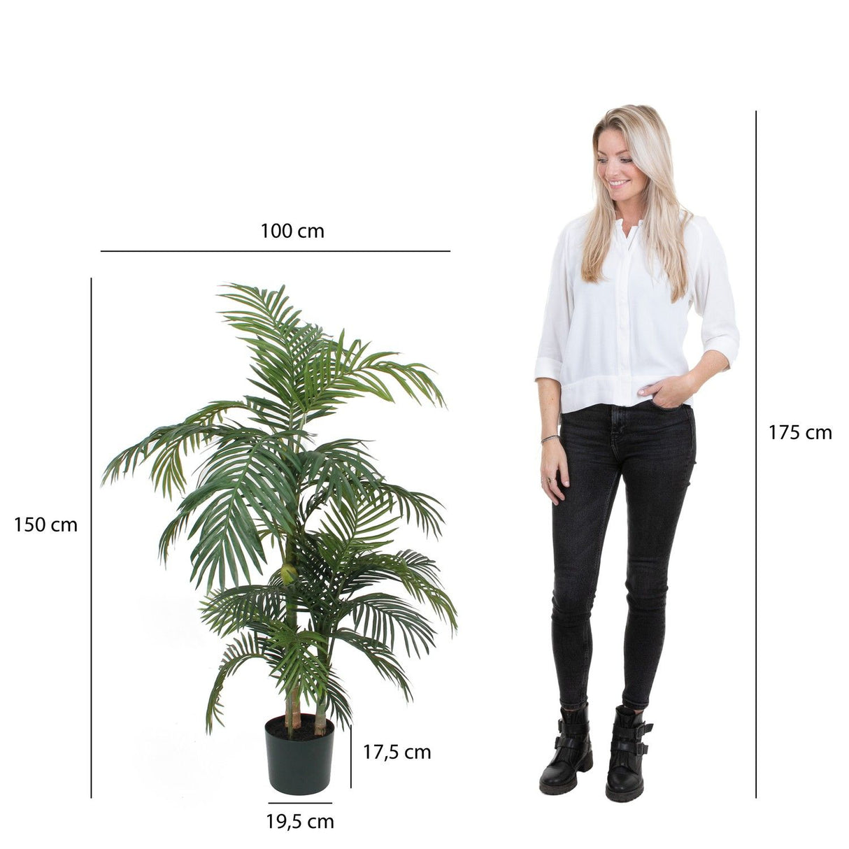 Areca Palm Kunstplant (H130 x Ø95 cm) Green Collection – MICA DECORATIONS