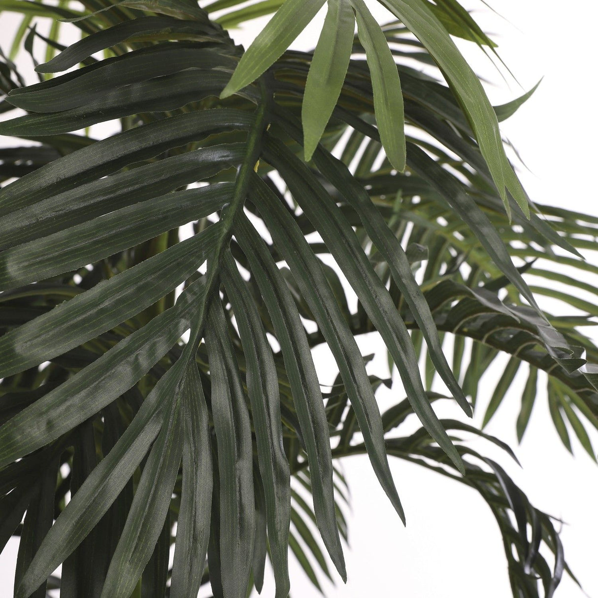 Areca Palm Kunstplant (H170 x Ø115 cm) Green Collection – MICA DECORATIONS