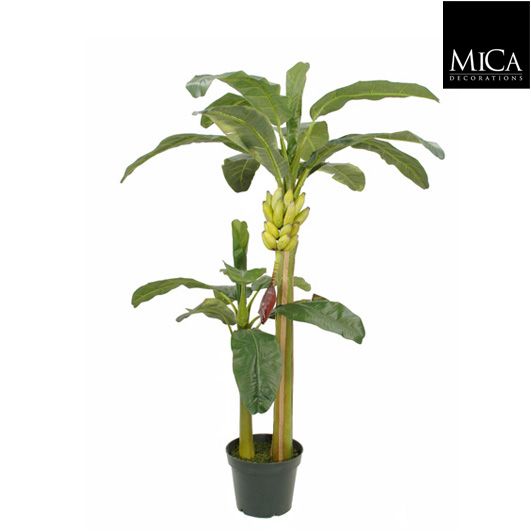 Banana Tree Kunstplant (H180 x Ø115 cm) Green Collection – MICA DECORATIONS