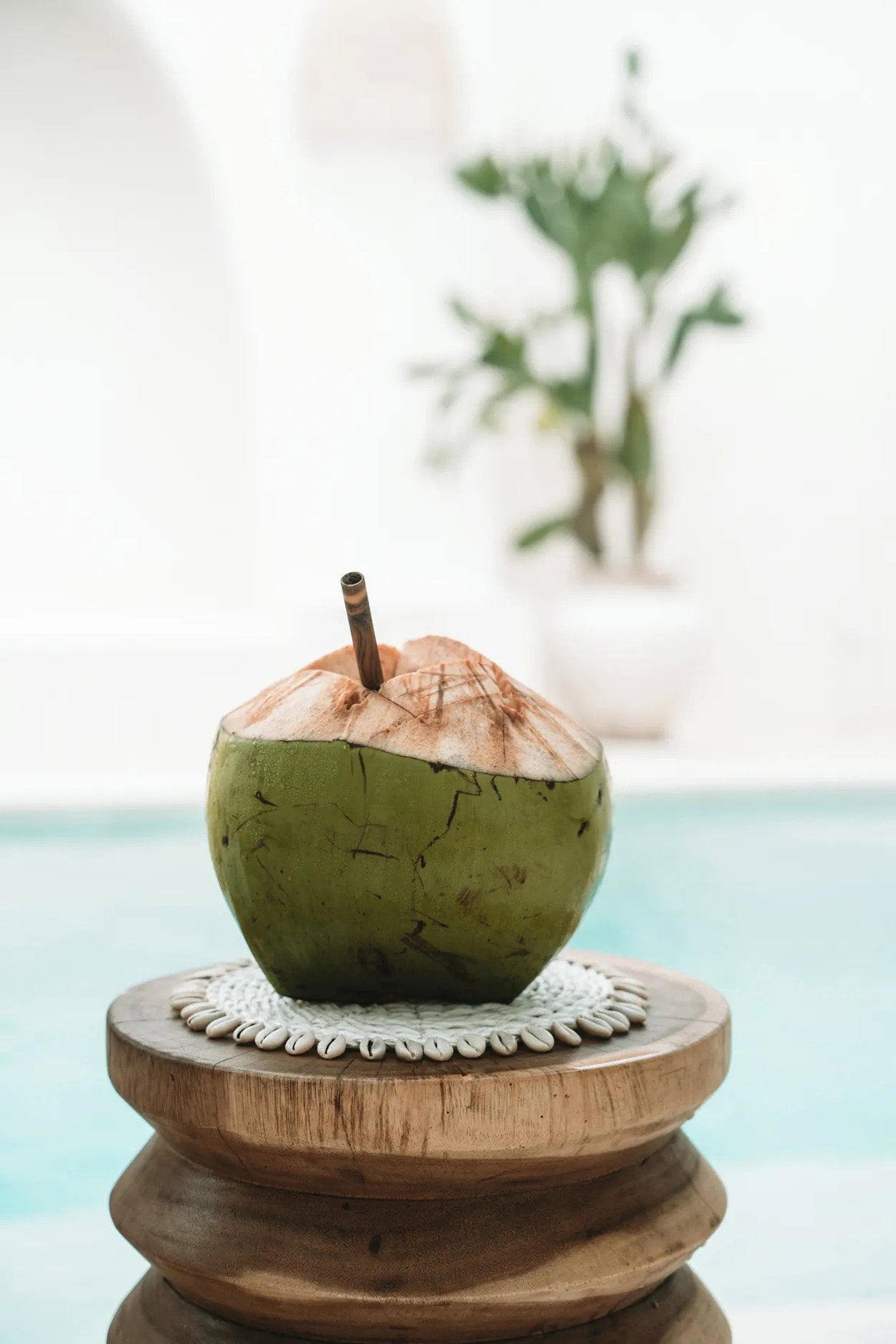 Zeegras Onderzetter met Schelpen (23x23x1) / Bazar Bizar