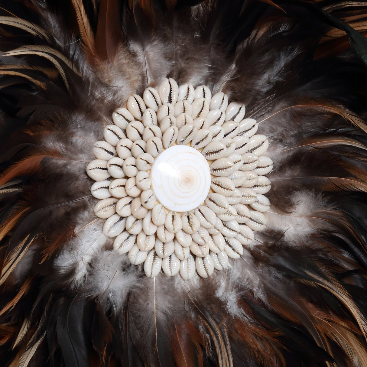 Coastal Juju (L) / Bazar Bizar