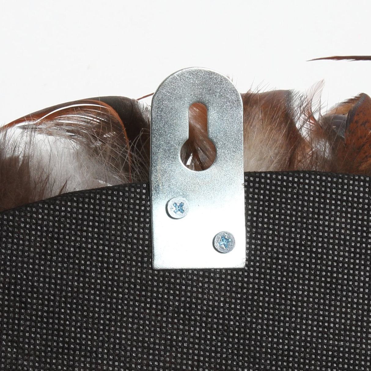 Coastal Juju (L) / Bazar Bizar