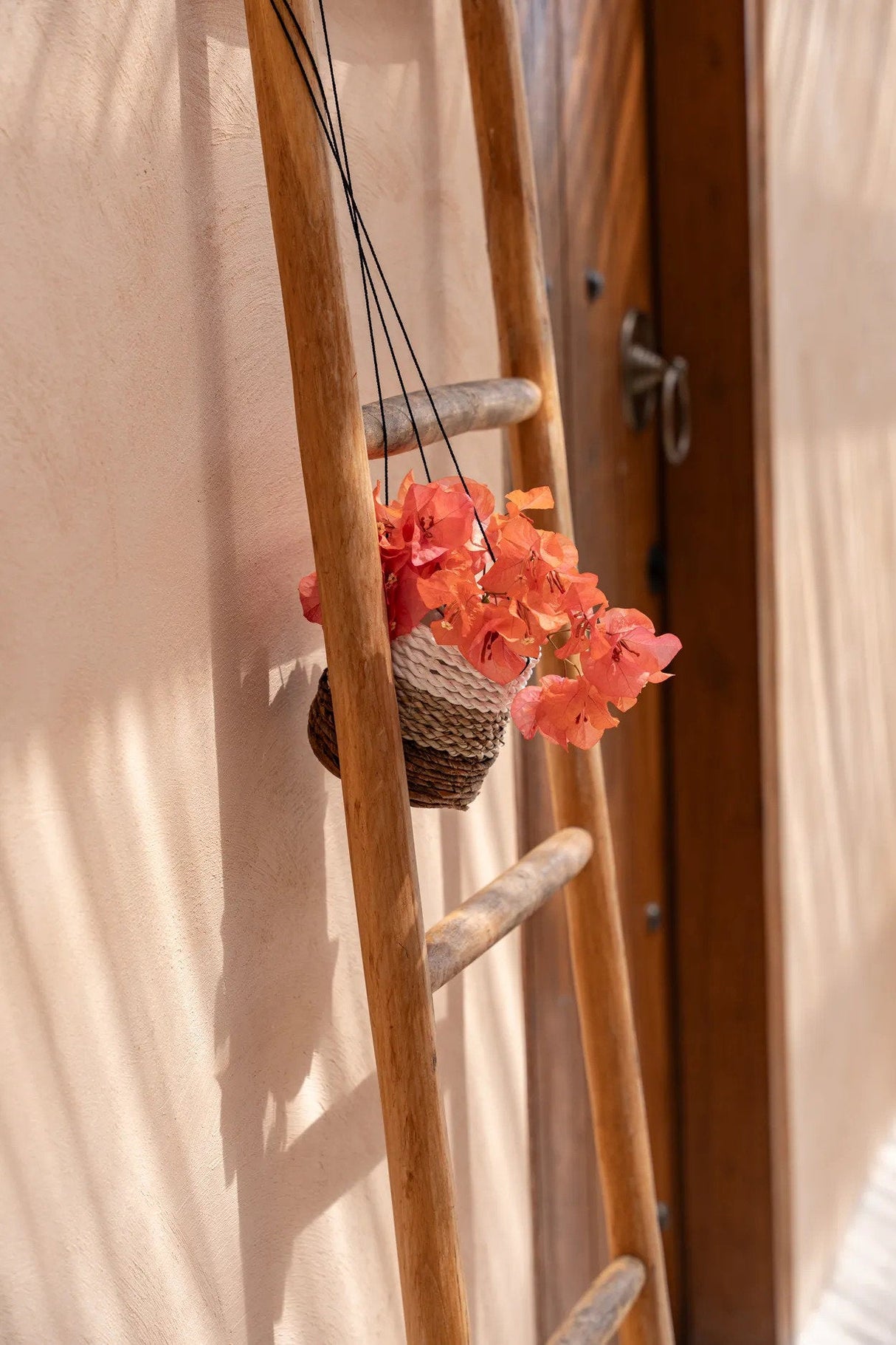 Banana Plant Hanger (S) / Bazar Bizar