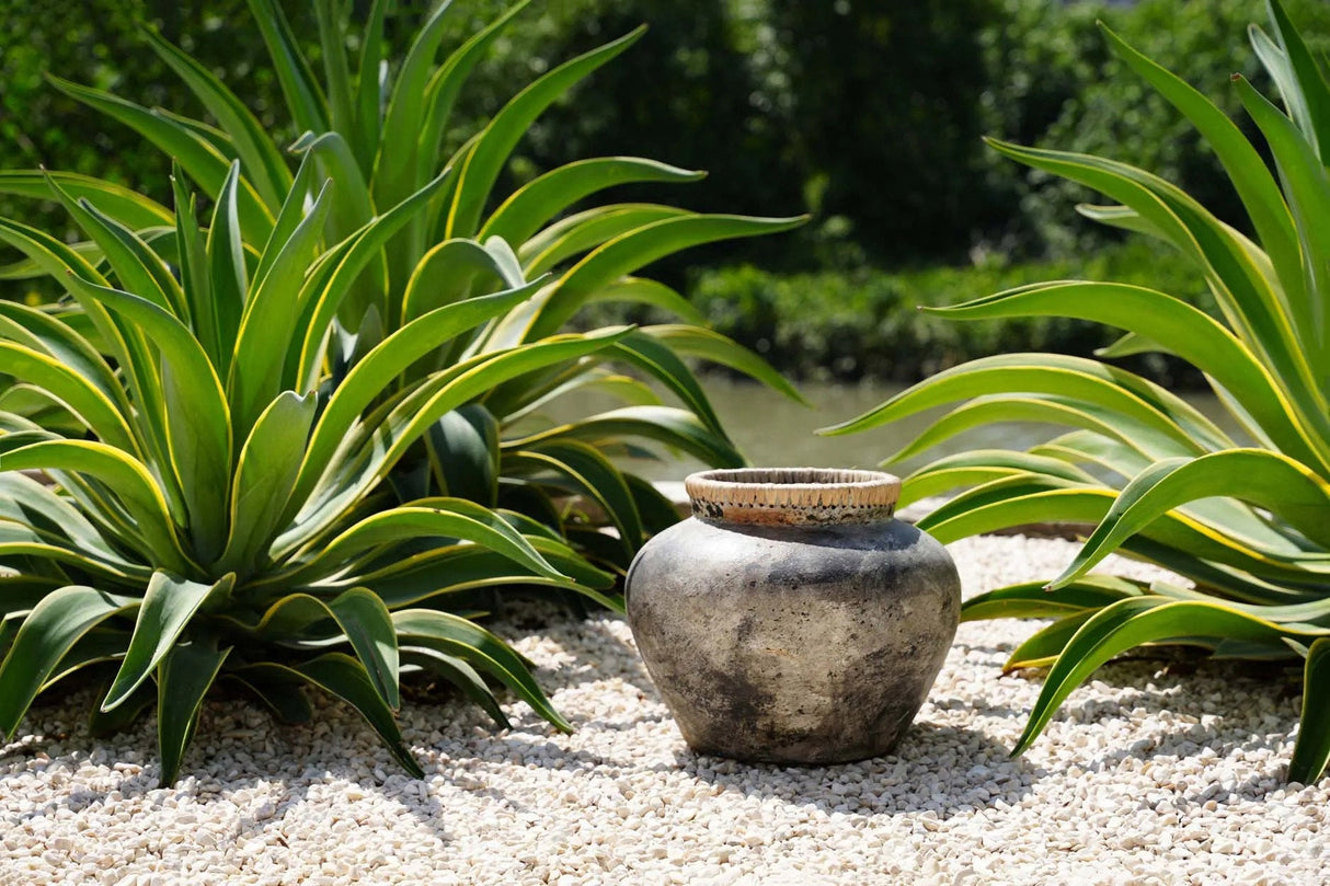 Styly Vaas (M) / Bazar Bizar