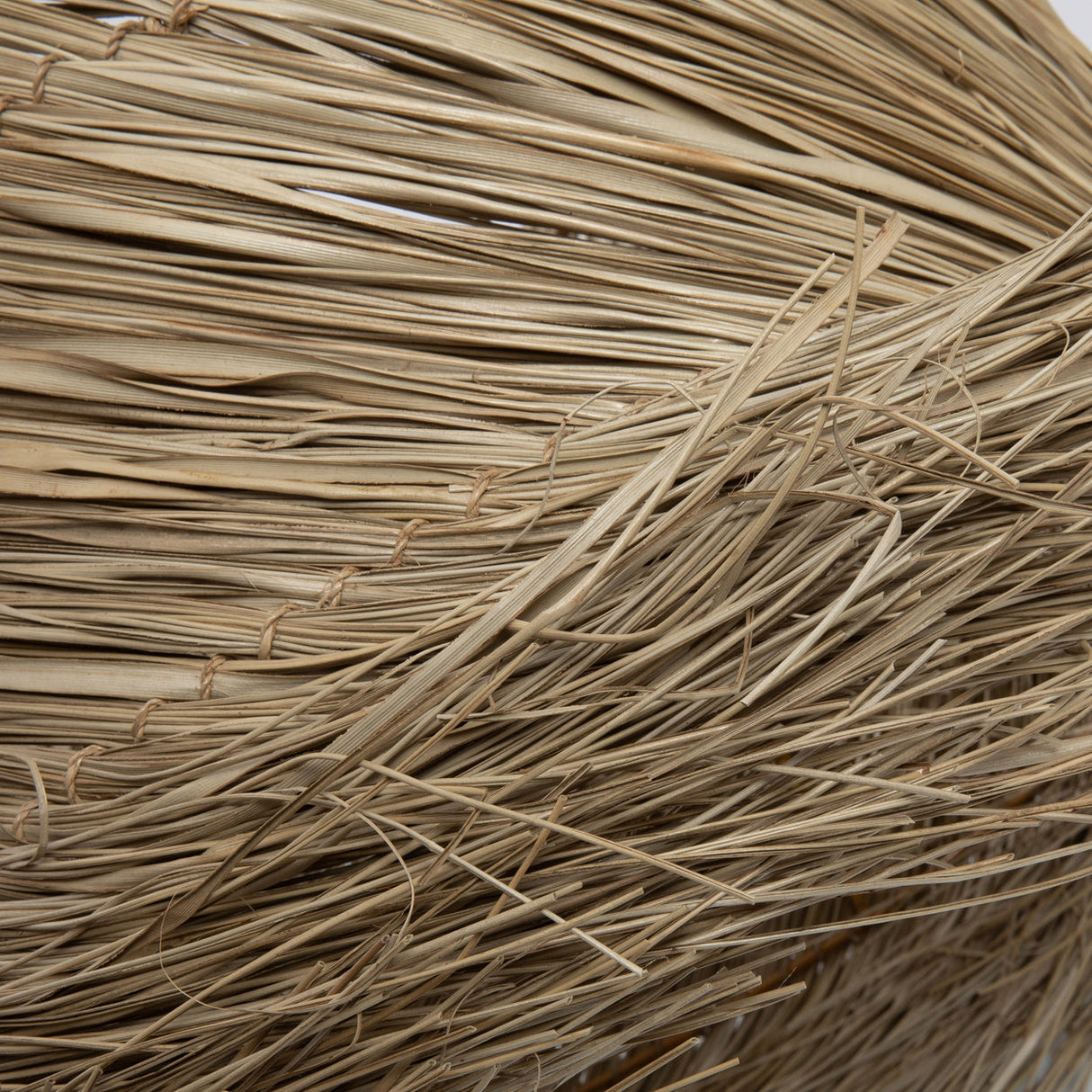 Pandan Lampenkap / Bazar Bizar