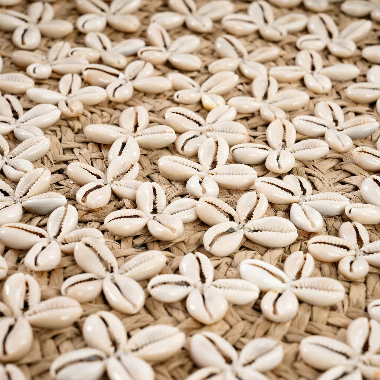 Costa Schelpenplaat (M) / Bazar Bizar