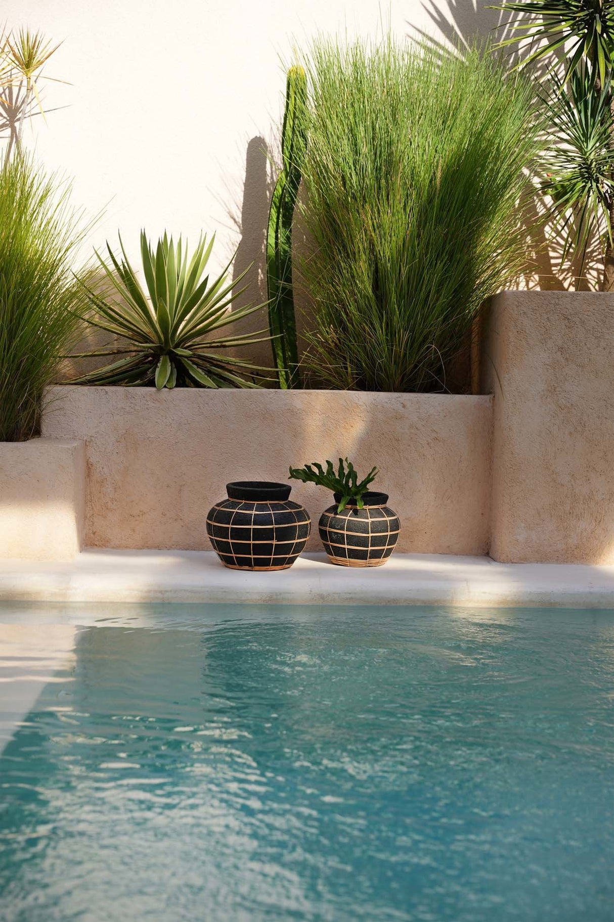 Belly Vaas (L) / Bazar Bizar