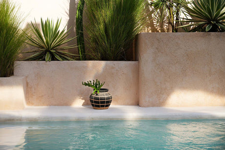 Belly Vaas (S) / Bazar Bizar