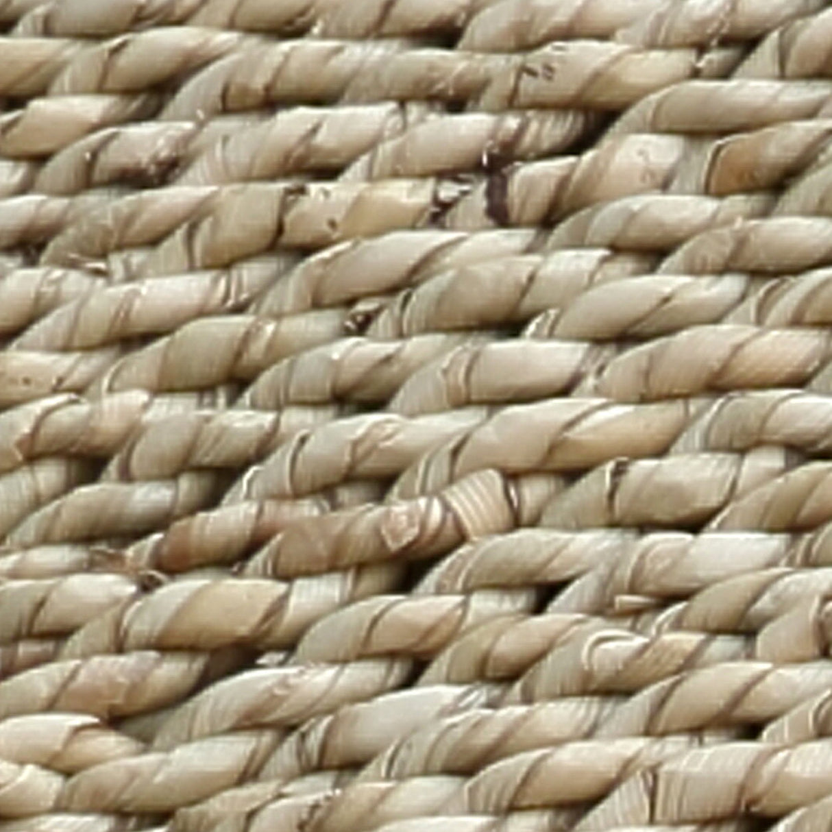 Porto Zeegras Bank L / Bazar Bizar