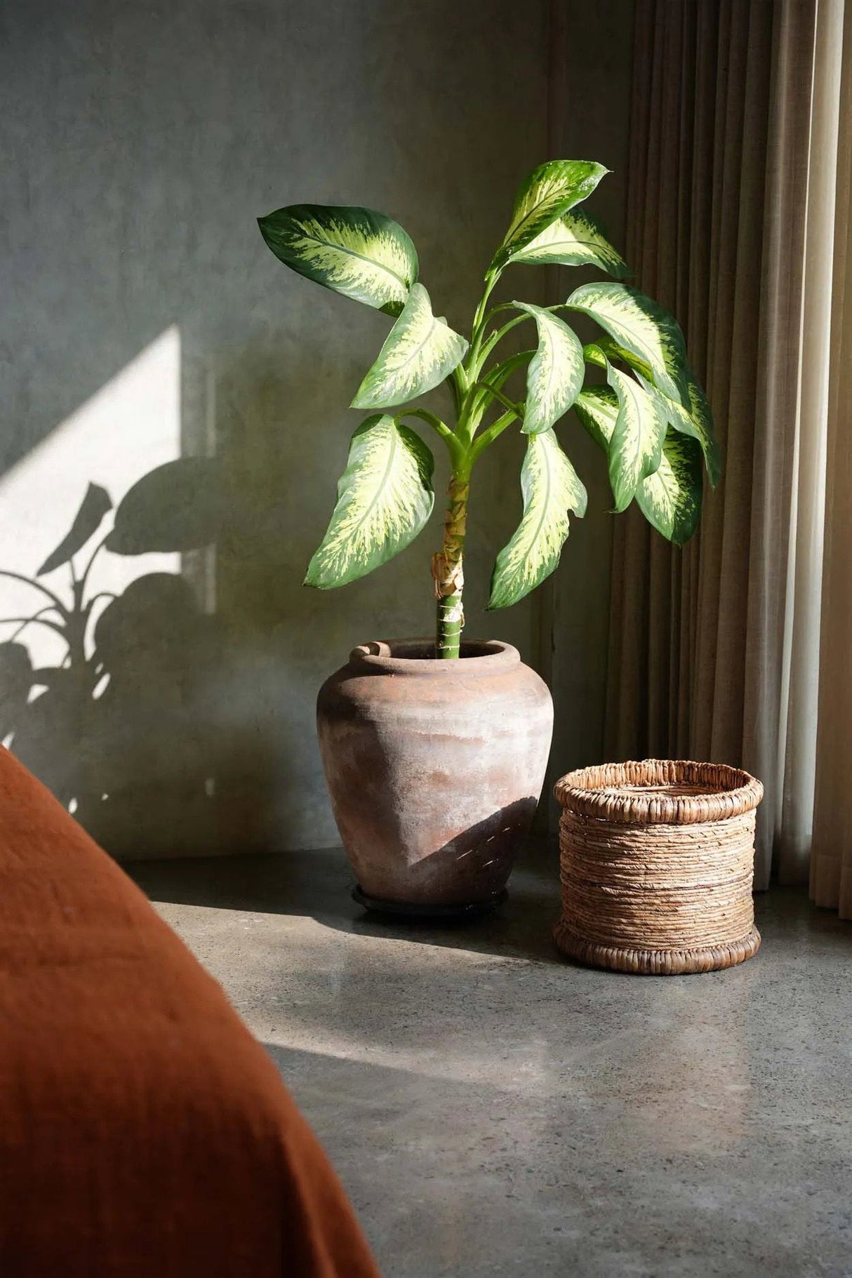 Chuka Mand / Bazar Bizar