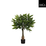 Pachira Kunstplant (H60 x Ø60 cm) Green Collection – MICA DECORATIONS