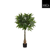 Pachira Kunstplant (H80 x Ø60 cm) Green Collection – MICA DECORATIONS