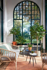 Pachira Kunstplant (H80 x Ø60 cm) Green Collection – MICA DECORATIONS