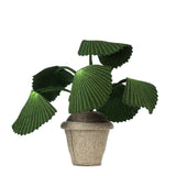 Plant – Pebbe Groen / KidsDepot