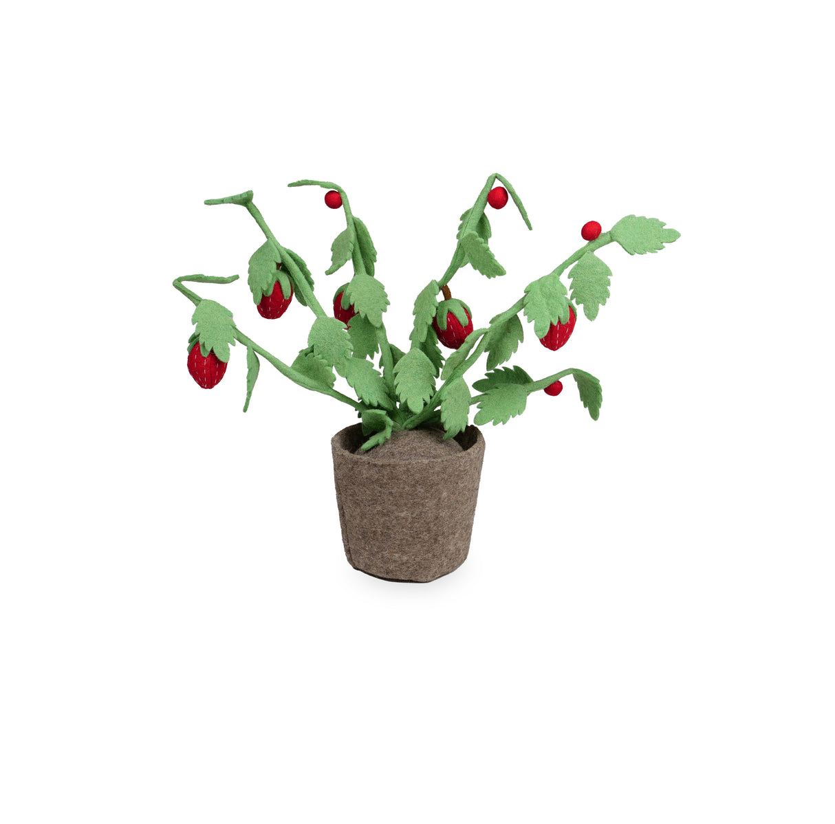 Plant – Strawberry Rood & Groen / KidsDepot