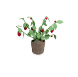 Plant – Strawberry Rood & Groen / KidsDepot