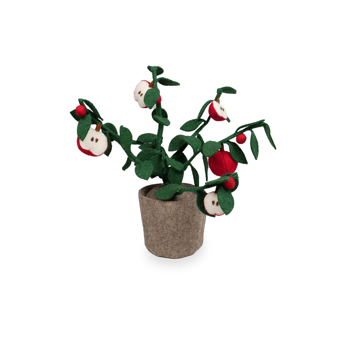 Plant – Apple Rood & Groen / KidsDepot