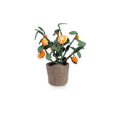 Plant – Orange / KidsDepot