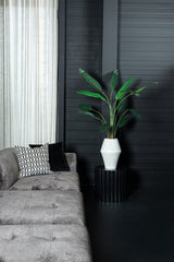 Ravenala Boom (S) / PTMD