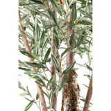 Olijfboom (XL) / PTMD