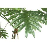 Spring Rain Boom / PTMD