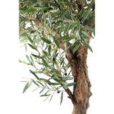 Olijfboom (210cm) / PTMD