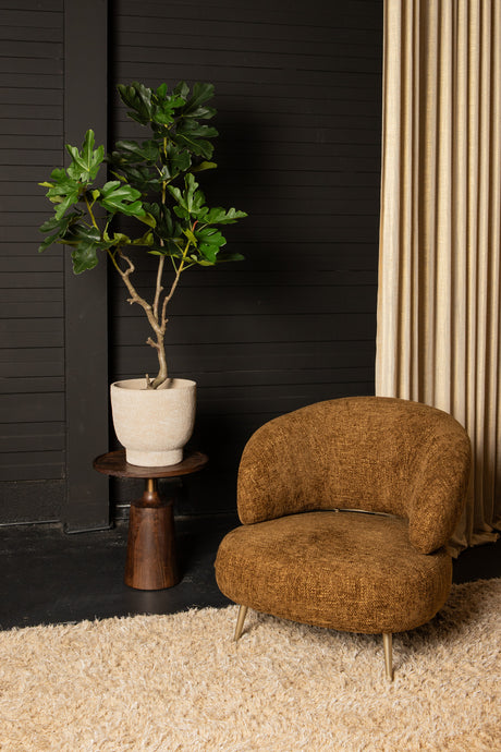 Vijgenboom (S) / PTMD