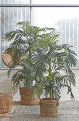 Areca Palm Kunstplant (H170 x Ø115 cm) Green Collection – MICA DECORATIONS