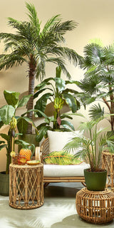 Banana Tree Kunstplant (H180 x Ø115 cm) Green Collection – MICA DECORATIONS