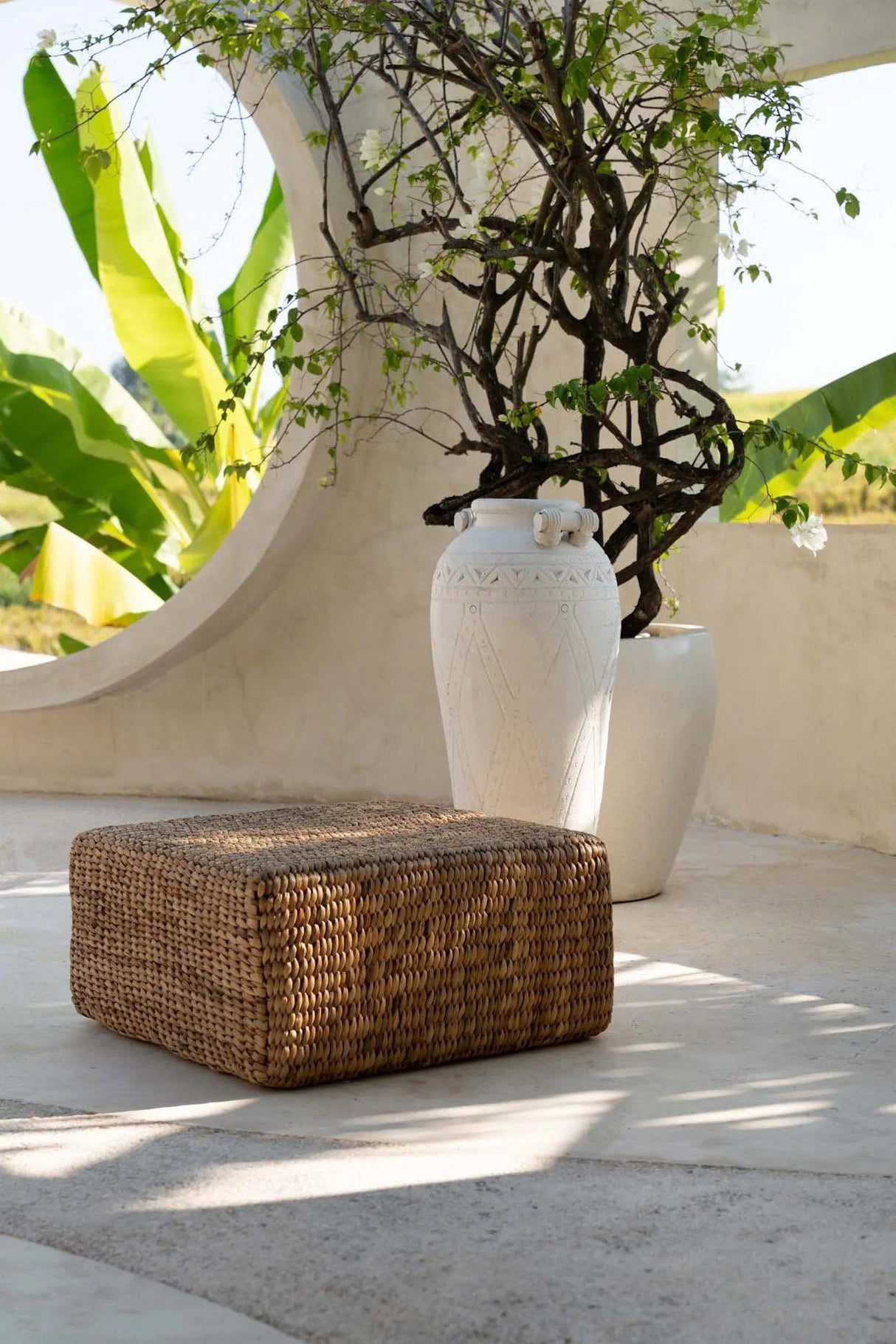 The hyacintpoef / Bazar Bizar