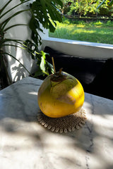 Zeegras Pan Onderzetter met Schelpen (23x23x1) / Bazar Bizar