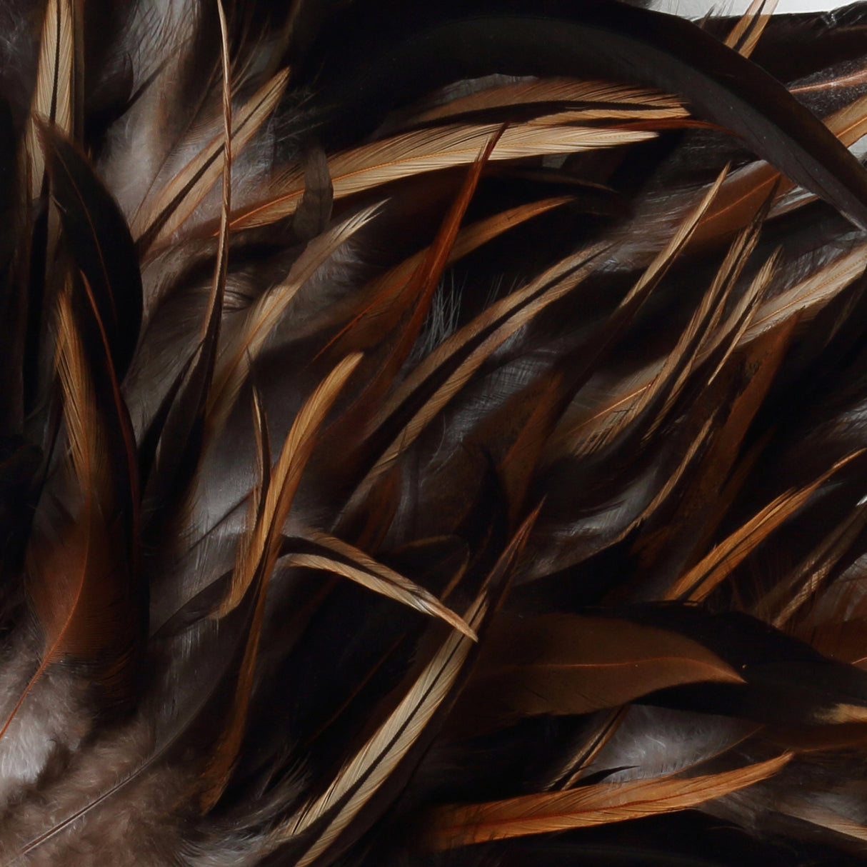 Coastal Juju (M) / Bazar Bizar