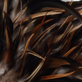 Coastal Juju (M) / Bazar Bizar