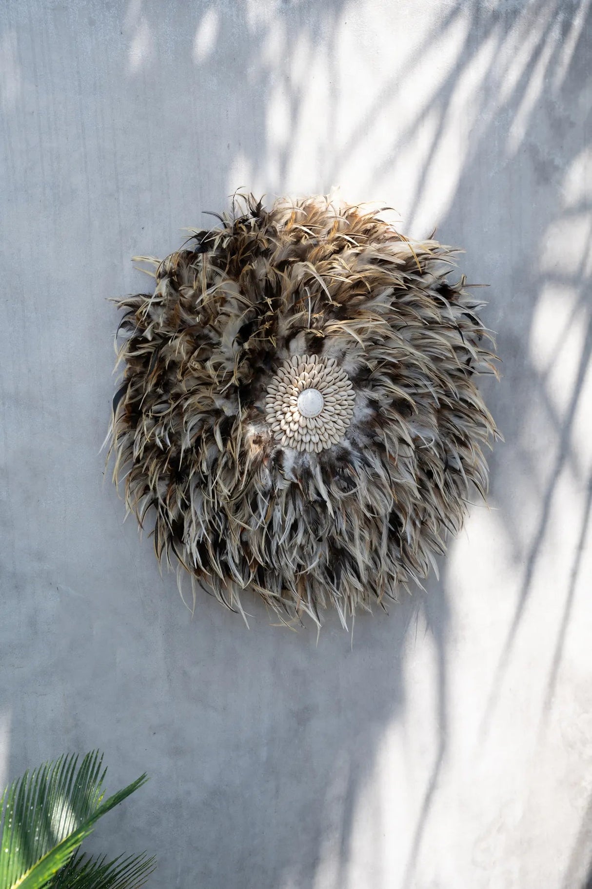 Coastal Juju (M) / Bazar Bizar