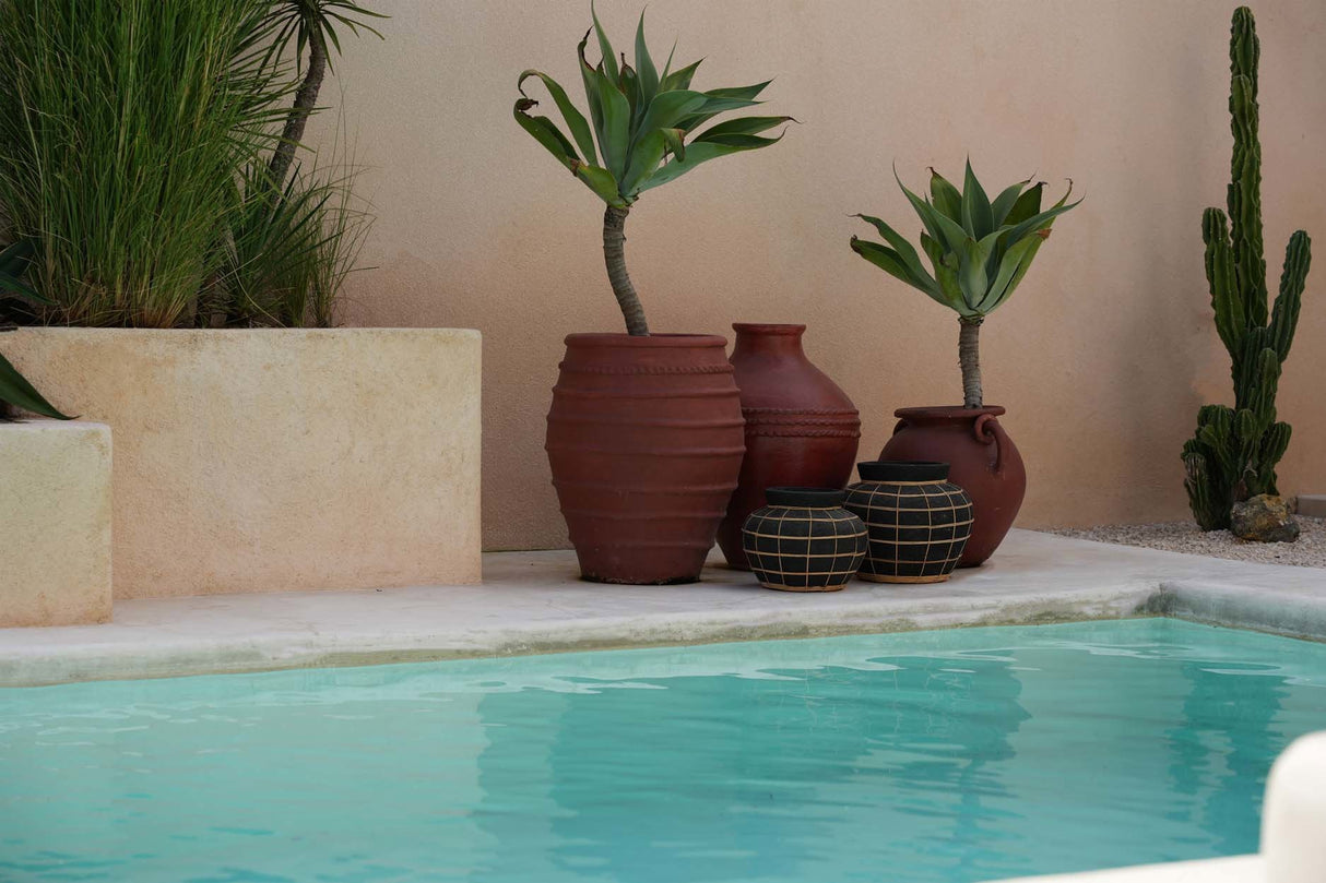 Belly Vaas (L) / Bazar Bizar