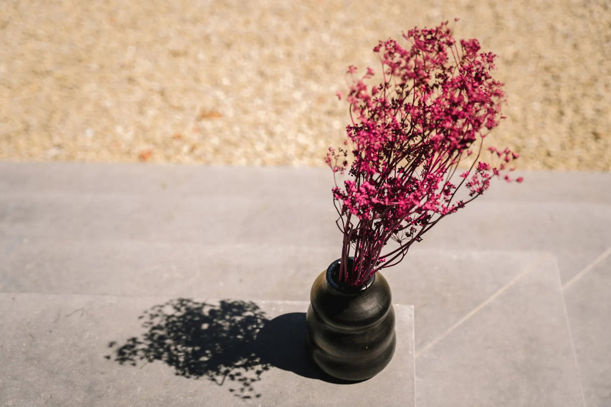 Burned Vaas / Bazar Bizar