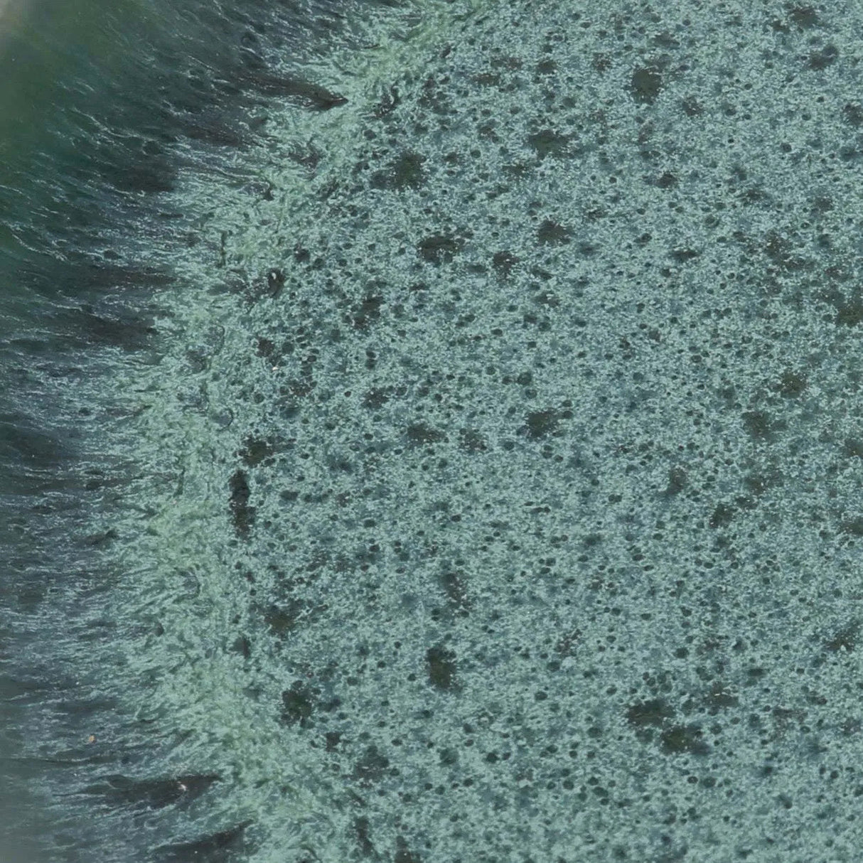 Aqua Saladebord (set van 6) / Bazar Bizar